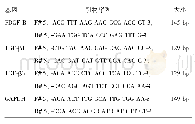 《表1 PDGF-B、TGF-β1、TGF-β3的PCR引物序列》