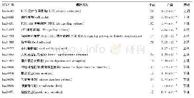 表2 胃癌差异mi RNA调控基因的KEGG通路富集分析