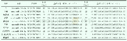 表1 不同物种miR-194-5p的成熟序列Tab 1.Mature sequences of miR-194-5p in different species