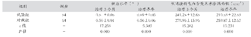 表1 视力水平及视网膜新生血管荧光素渗漏面积（±s)