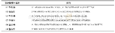 表1 引物和探针序列：基于qRT-PCR方法的三价轮状病毒重配疫苗效力试验中平行线模型的建立