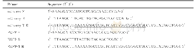表1 PCR引物设计Tab.1 Oligonucleotides used in the study