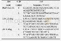 《表1 试验所用引物：与猪流行性腹泻病毒M蛋白互作的宿主蛋白的鉴定》