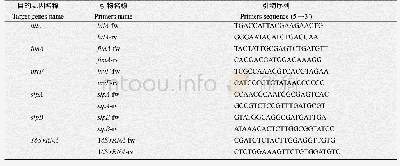 表2 实时荧光定量RT-PCR引物