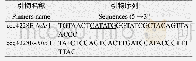 《表1 实验所用引物：蓝杆藻ATCC51142中琥珀酸半醛脱氢酶的原核表达及生化表征》