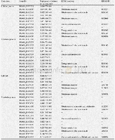 表2 部分表达量变化超过8倍的上调表达基因数据分析