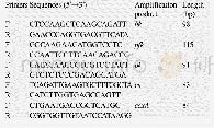 表2 实时荧光定量PCR所使用引物