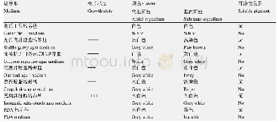 表1 BM-2菌株在不同培养基上的培养特征