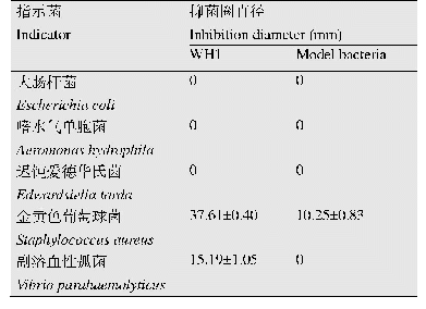 表3 菌株WH1和模式菌的抑菌效果对比