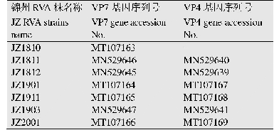 《表2 2018-2020年JZ RVA株VP7与VP4基因序列登录号》