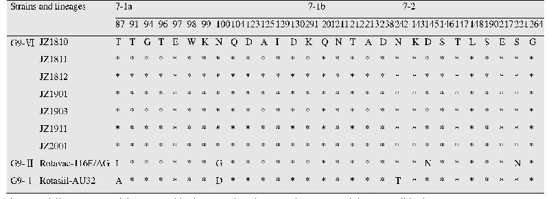 表3 应用Bio Edit 4.8.10获得JZ株和疫苗株Rotavac-116E/AG、Rotasiil-AU32 VP7 3个抗原表位区7-1a、7-1b和7-2对应的29个氨基酸比对结果