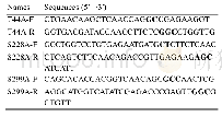 《表1.引物序列：毕赤酵母表达的嗜热蓝状菌β-葡萄糖苷酶N-糖基化修饰的作用与功能》
