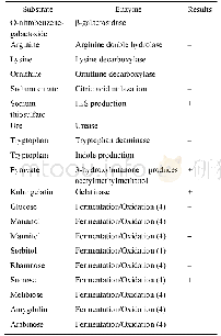 《表2.拮抗菌株504生理生化特性(酶活、碳源同化)》