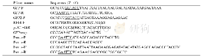 表1.本文所用的部分PCR扩增引物