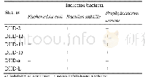 《表4.东海岛细菌抑菌活性》