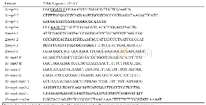 表2.本研究所涉及的引物