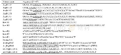 《表2.本研究使用的引物序列》