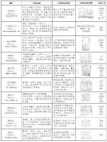 《表2 常见恐龙蛋的形态及蛋壳结构分类表[1]》