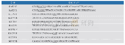 《表1 引物序列表：定点突变提高过氧化氢酶热稳定性和催化效率》