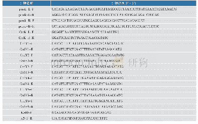 表2 本文所用的引物及序列
