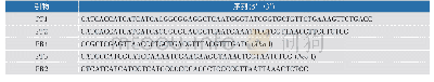 表1 引物：蜂毒肽在大肠杆菌中的高效融合表达与纯化