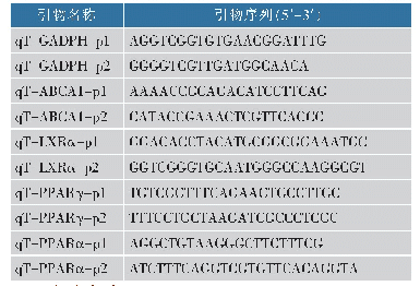 表1 各个基因的引物序列