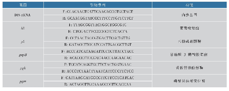 《表1 实时荧光定量PCR引物》