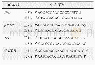 表1 NGF,p75NTR,Trk A和GAPDH的引物序列