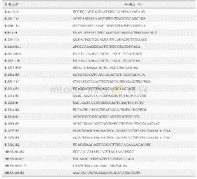 表1 KRAS,NRAS,BRAF PCR检测引物序列