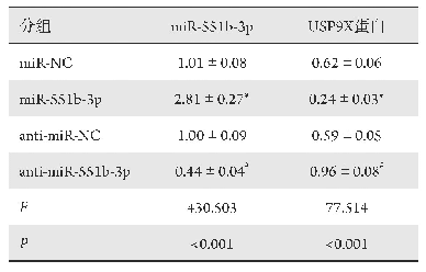 表4 Mi R-551b-3p调控USP9X蛋白的表达(n=9)