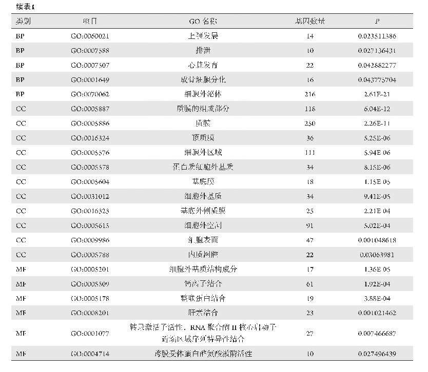 《表1 肾母细胞瘤差异表达基因GO富集分析结果》