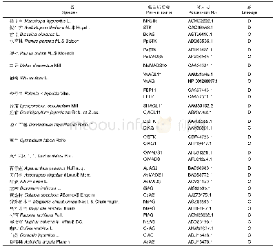 表2 用于序列比对和系统发育分析的物种信息