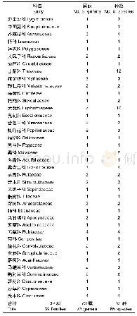 表1 海南猕猴岭海南锥+黄牛木群落维管植物种类组成