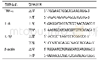 《表1 RT-q PCR引物序列》