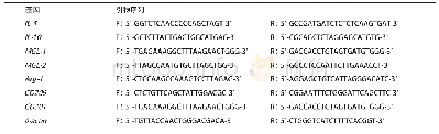 《表1 RT-PCR引物序列表》