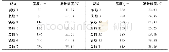 《表1 宽度不同深度相同的模拟裂纹尺寸及其温升幅度（各裂纹深度均为150μm)》