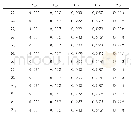表8 隶属度矩阵表(归一化)