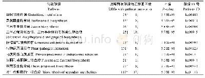 《表3 RNA-seq测序得到的差异基因富集到的前10个代谢通路》