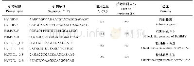 《表3 qPCR引物及扩增片段》