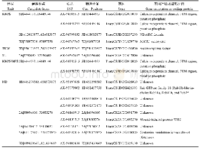 表6 小麦农艺性状候选基因及其功能注释