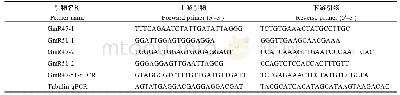 表1 基因克隆引物及荧光定量引物