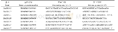 附表1 本文中所用引物序列信息