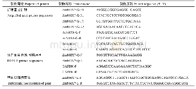 《表1 引物序列：玉米阳离子/质子逆向转运蛋白ZmNHX7的功能鉴定》