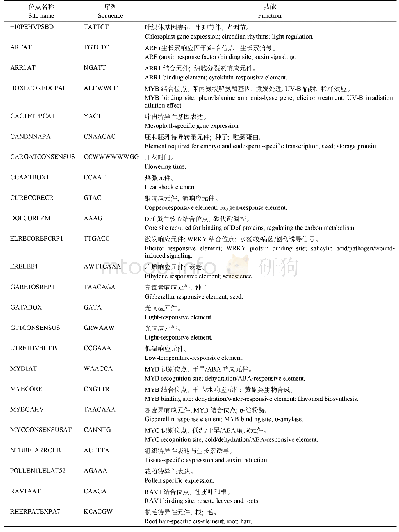 表2 茶树CsHXK2基因启动子的主要顺式作用元件