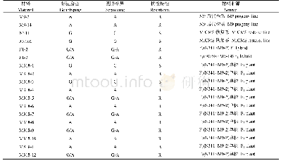 表2 KASP标记KALS1R19681913B在小群体中的分型结果与抗性表型