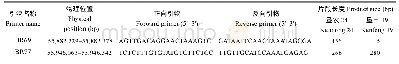 表2 两个In Del标记的位置、引物序列及预期扩增片段长度
