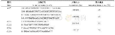 表1 SSIIa、SSIIIa和Wxmp基因分子标记