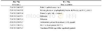表3 候选区间内基因信息