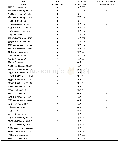 《表1 甘蔗新品种对褐锈病菌的抗性与Bru1基因PCR检测结果》