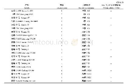 表1 甘蔗新品种对褐锈病菌的抗性与Bru1基因PCR检测结果